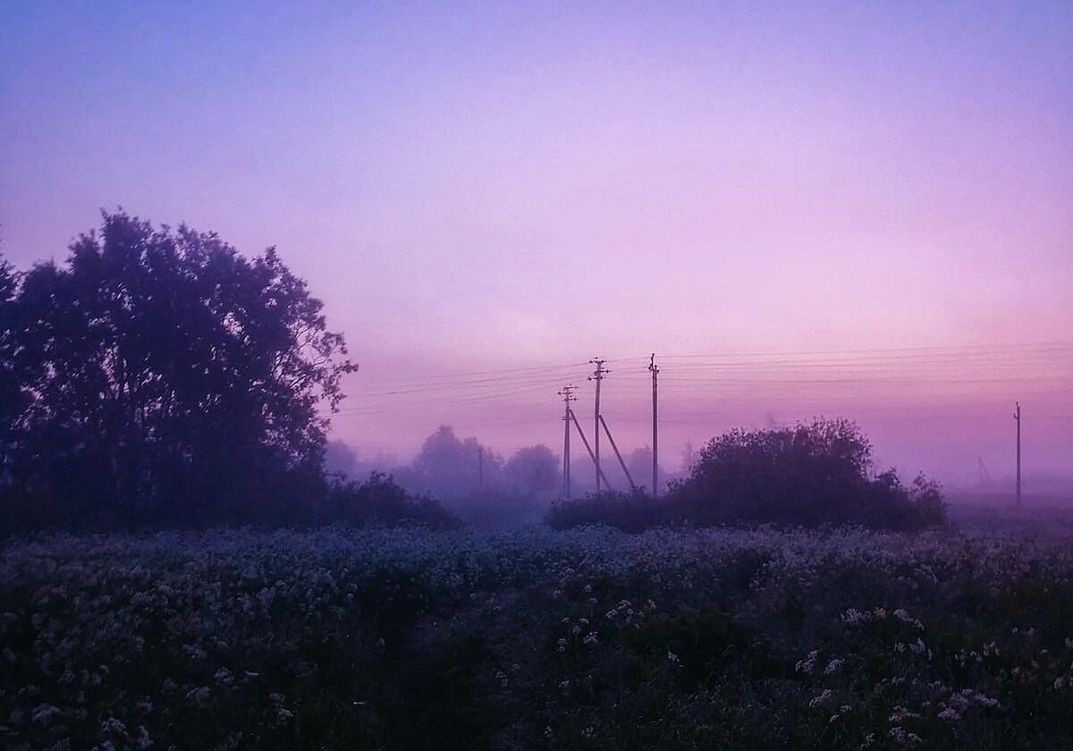 大发官方：从信任到共创的数字生活新入口